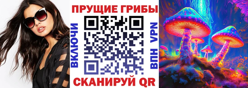 Купить закладки Вятские Поляны Псилоцибиновые грибы MAGIC MUSHROOMS