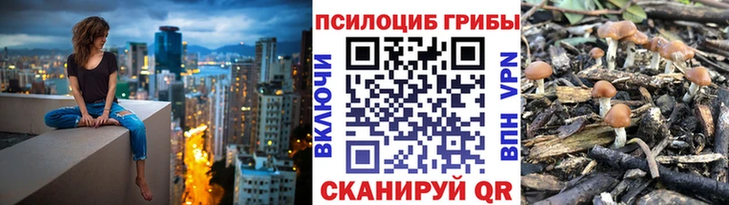 Псилоцибиновые грибы ЛСД Вятские Поляны